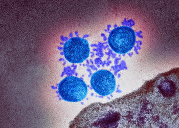 Jednostavni i učinkoviti načini zaštite sebe i drugih – UK agencija za zdravstvenu sigurnost