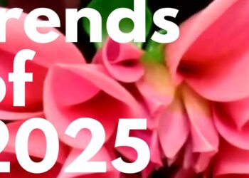 Trendovi u biljnoj modi 2025.