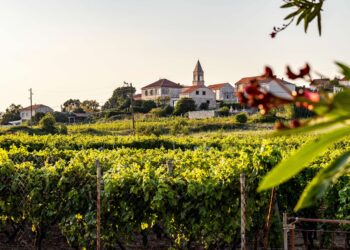 Vintage Hrvatska can be rewritten as “Vintage Hrvatska” since the term “vintage” is often used in the same form in Croatian contexts. However, if you prefer a more localized approach, you might consider “Vintidž Hrvatska.”