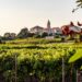 Vintage Hrvatska can be rewritten as “Vintage Hrvatska” since the term “vintage” is often used in the same form in Croatian contexts. However, if you prefer a more localized approach, you might consider “Vintidž Hrvatska.”