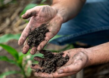 Sposobite se povezati s prirodom prizemljenjem – najnoviji trend u Americi.