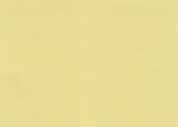 Pantoneovo izvješće o trendu boja na NYFW-u potiče na eksperimentiranje