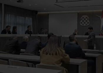 Ministrica Blagica Leko vrijeđa zastupnika Bandića!