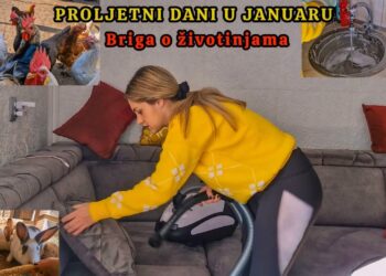 JEDAN DAN SVAKE ŽENE💜Čišćenje kuće, briga o životinjama,ručak..❤️ @@