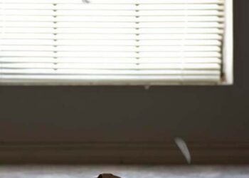 Kako se motivirati kada vaš šef ne pomaže?