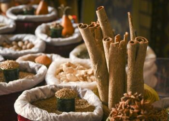 Može li turizam potaknuti mir? Društveno svjesni operateri to potvrđuju – Oakland Press