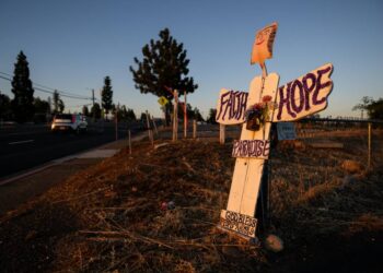 PO KUTIJE, BESPLATNI POPISI I SOLJSKI: Kako se oporaviti od gubitka doma usred divlje vatre