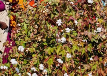 Istraga otkriva zastrašujuću istinu o nekim svjetskim modnim markama: ‘Ozbiljna zlostavljanja’