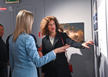 Prilika za detaljniju analizu