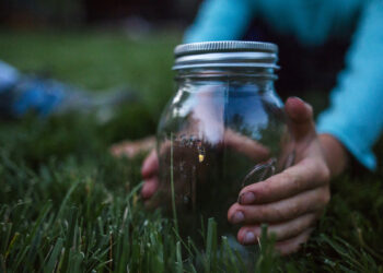 Simboličko značenje prelaska staza s malim svjetlucavim vatrom ili munjom ovog ljeta.