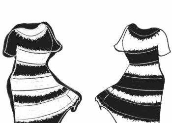 Osnove blokiranja boja – Bowdoin Orient