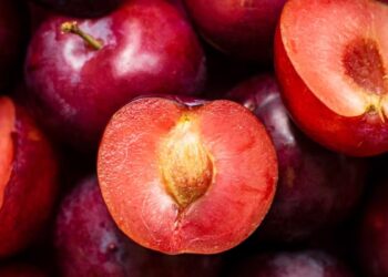 Stručnjak ističe zdravstvene prednosti konzumacije šljiva za djecu