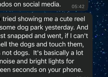 Konzumiranje sadržaja – Noirsome