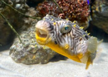 Naši osobni podaci se prikupljaju. Ostanite u kontaktu.