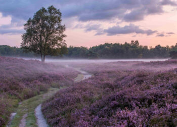 Booking.com proglasio dobitnike nagrada “Traveller Review Awards 2025” i “Top Welcom 2025”