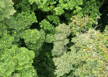 Vijesti o Visočnoj modi i Lhetaku: 10 stvari koje trebate znati