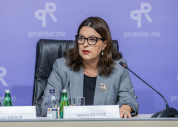 Ministarstvo kulture i medija ove godine potrošilo gotovo 150.000 eura na usluge ugovora