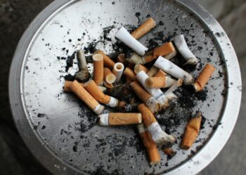 Djed tvrdi da su današnje cigarete zalijevane!, Dr. Robert Wallace