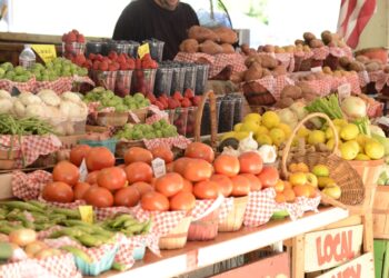 Zdrava prehrana ne mora biti skupa