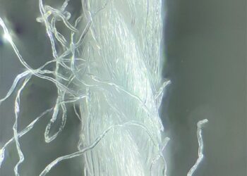 Moda za dobro: konzorcij mikrofibre teži proboju