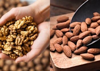 Vodič za zdrave grickalice: Ujedi bez grižnje savjesti koji će vas održati sitima i na fitness putu