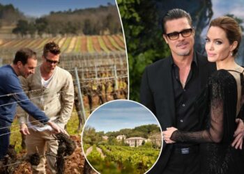 Vrijede li vina poznatih? – Finchannel