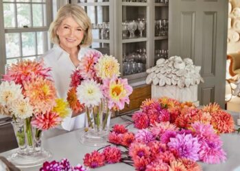 Ponovno predstavljanje robne marke Celebrity Lifestyle: Martha Stewart