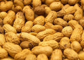 Koliko kikirikija treba konzumirati dnevno?