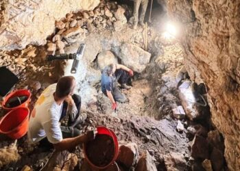 Veliko otkriće: Tragovi života stari 7.000 godina pronađeni na hrvatskom otoku Šćedro.