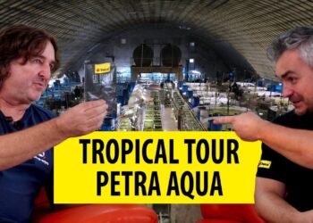Tropska turneja u posjeti akvaristima/posjet akvaristima – Petra Aqua (Eng Sub)
