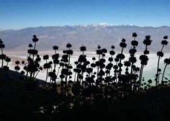 Ne sagorijevajte mostove, Ovan! Horoskopske prognoze za svih 12 zodijačkih znakova od 13. do 19. travnja