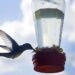 Ree Drummond priprema jednostavni nektar za hummingbird s 2 sastojka
