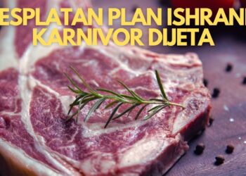 BESPLATAN PLAN ISHRANE | KARNIVOR DIJETA 🥩🥚