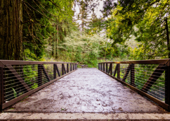 5 najboljih staza za pješačenje u zaljevu za vikend povodom Dana sjećanja