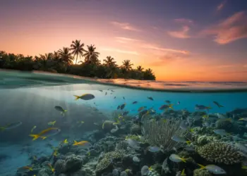 7 dana zamjene Miami s Key Largo: Otkriće zašto mještani nikada ne napuštaju ovo mjesto