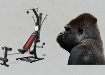 Vrhunska multi-dimenzionalna klupa za težinu, oprema