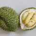 Je li Durian koristan ili štetan za zdravlje jetre?