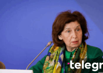 Siljanovska-Davkova: Kopenhagenski kriteriji učinit će nas standardnom europskom državom, veto nije prijateljski instrument