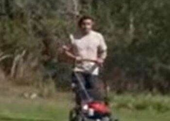 Kako njegovati travnjak uz manje troškove