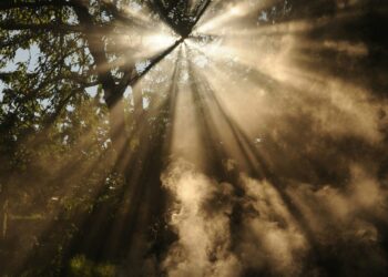 Globalni modni plan označuje OCD i najavljuje ažuriranja tima za upravljanje