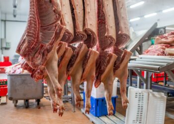 Žito preuzima većinski udio u kompaniji Mi Ravlić