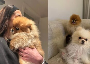 Vlog – kad Eloy u karanteni vozim