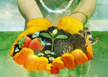 3,000 dolara po noći: Luksuzna odmarališta kao sljedeći glamurozni bijeg