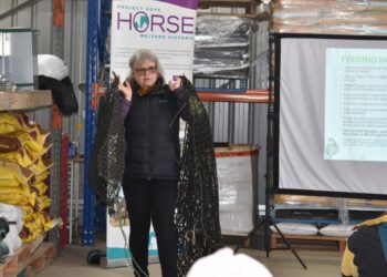 Praktični savjet za hranjenje konja u sušnim uvjetima