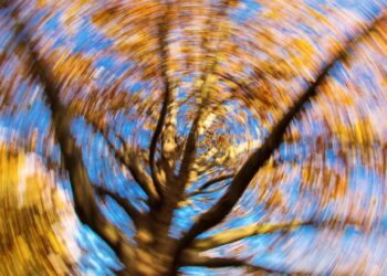 19 mogućih uzroka vrtoglavica tijekom dana – kada treba zatrebati pažnju