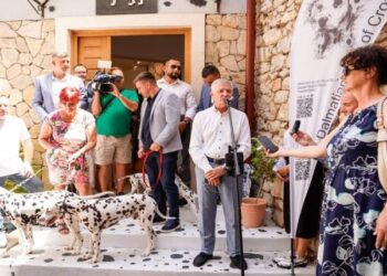 Muzej posvećen dalmatinskom psu otvara svoja vrata u Dalmatiji