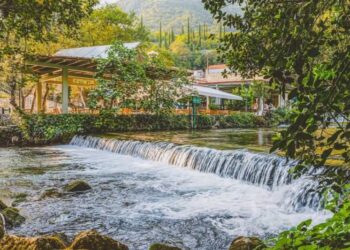 Konavoski Dvori: Autentično, ekološko mjesto za poslovne sastanke i događaje miševa u Dubrovniku