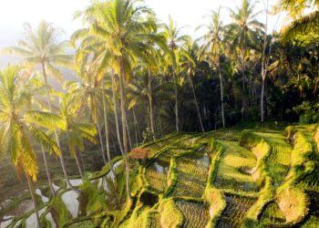 Najbolje destinacije za solo putovanje, od Kopenhagena do Galápagosa