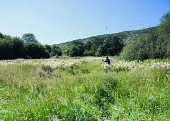 Izazovni trening u planinskoj teretani
