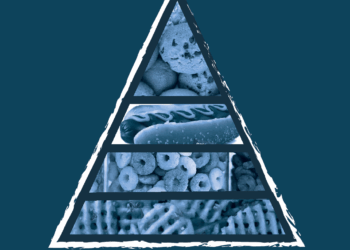 Ultra prerađena hrana: pet stvari koje trebate znati